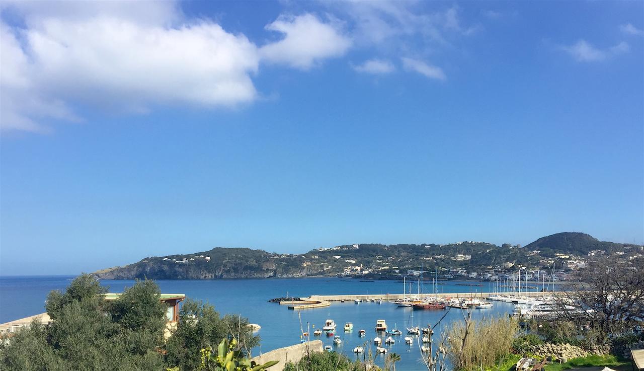 Harbour View B&B Forio di Ischia 外观 照片